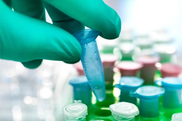 Experimenting in the lab Experimenting in the lab